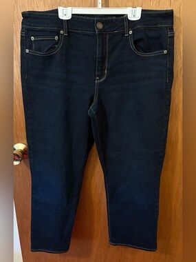 American Eagle Outfitters Short Length Dark Wash Straight Leg Jeans